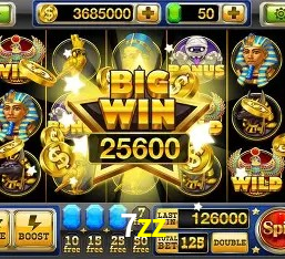 7zz cassino